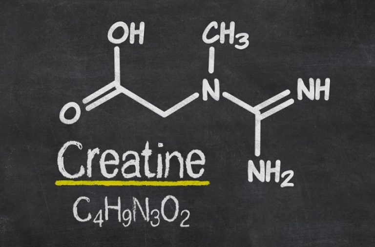 Does Creatine Help Build muscle? Effective Muscle Building Supplement